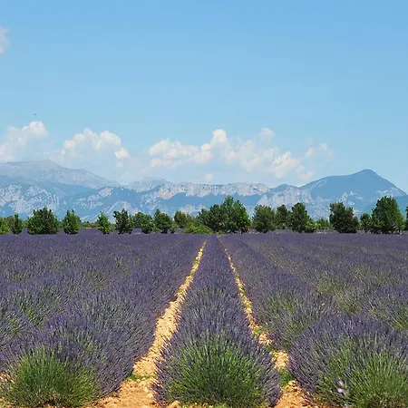 Кемпинг Mobil Home, Les Prairies De La *