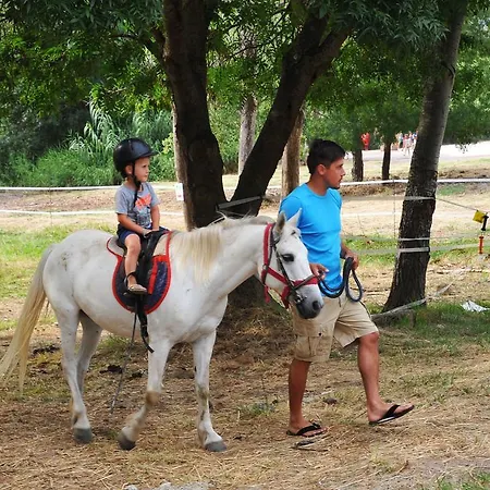 Kemping Mobil Home, Les Prairies De La *