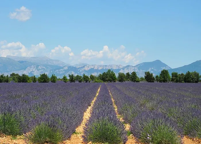 캠프장 Mobil Home, Les Prairies De La *