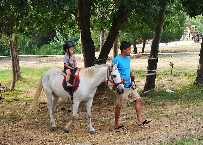 캠프장 Mobil Home, Les Prairies De La *